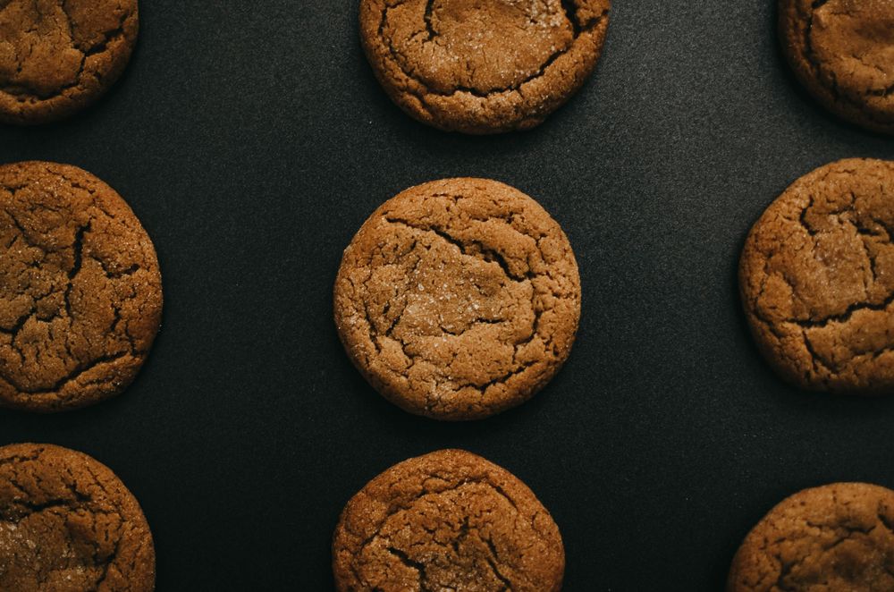 Why Calling Your Dog’s Treats “Cookies” Is the Best Conversation Starter — and Focus Booster