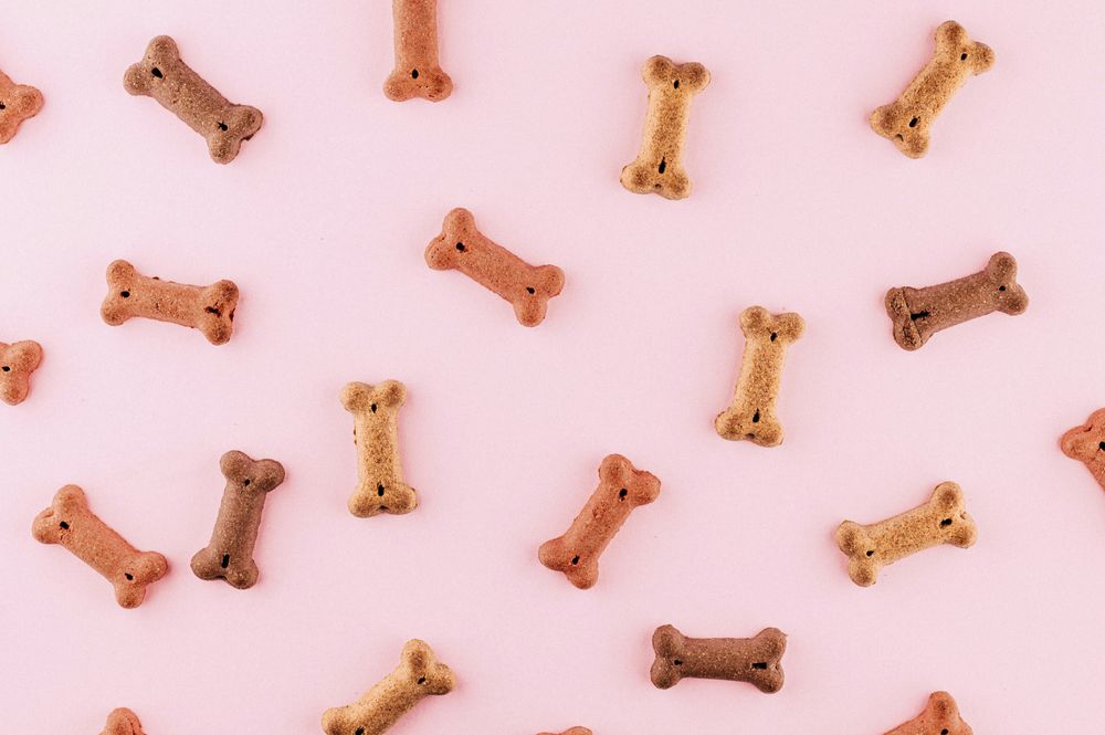 Understanding Dog Treats: More Than Just Cost Per Pound