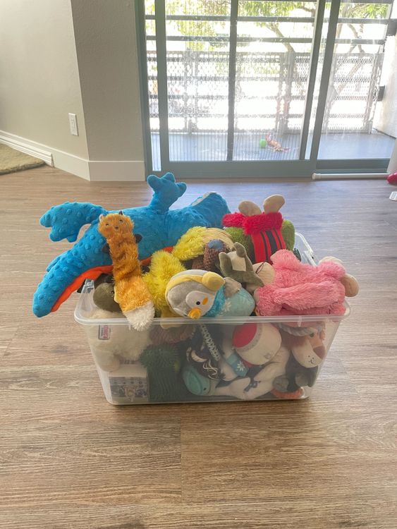 Dog Toy Rotation: The Secret to Keeping Your Dog Interested in Toys